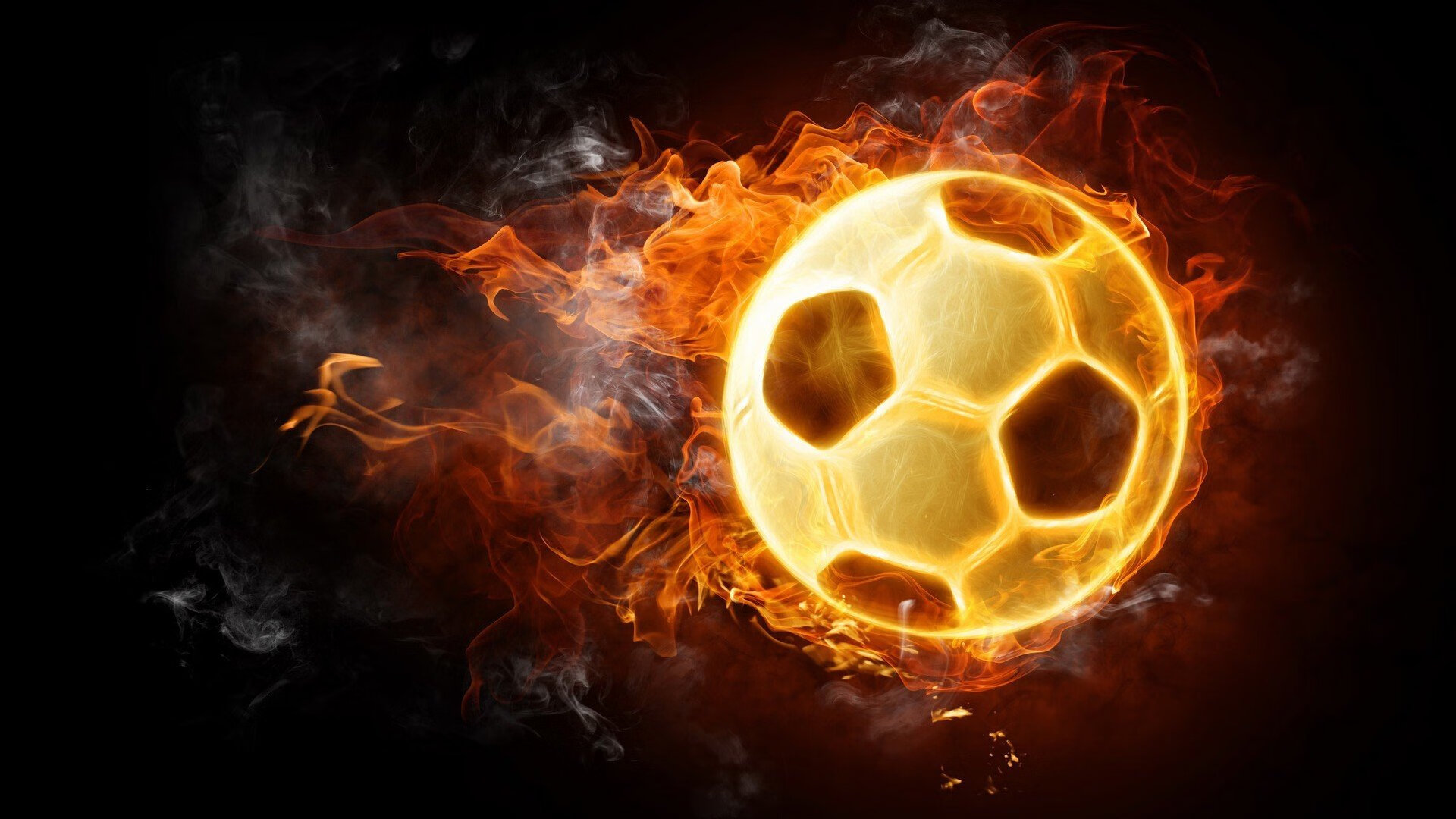 _森林狼战斗精神十足,稳扎稳打_,森林狼kg